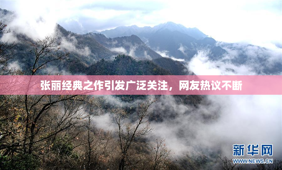 张丽经典之作引发广泛关注，网友热议不断