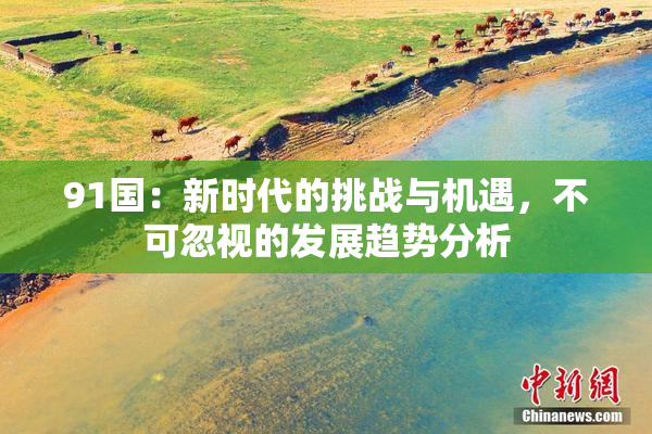 91国：新时代的挑战与机遇，不可忽视的发展趋势分析