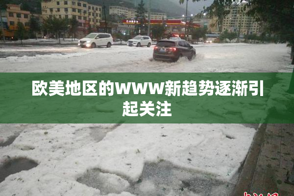 欧美地区的WWW新趋势逐渐引起关注