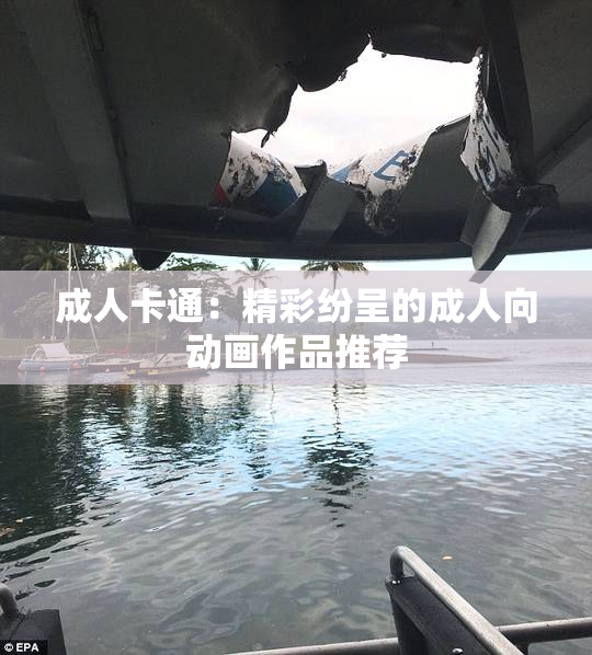 成人卡通：精彩纷呈的成人向动画作品推荐