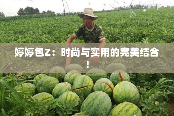 婷婷包Z：时尚与实用的完美结合!