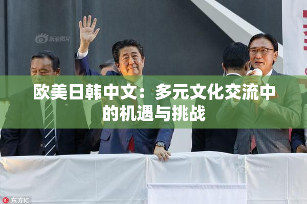 欧美日韩中文：多元文化交流中的机遇与挑战