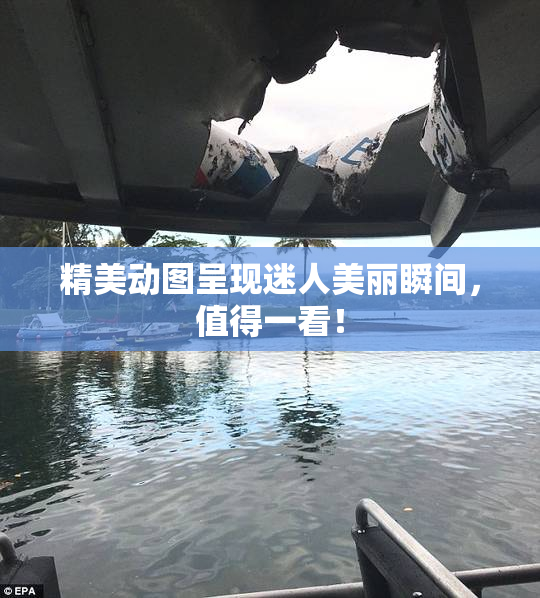 精美动图呈现迷人美丽瞬间，值得一看！