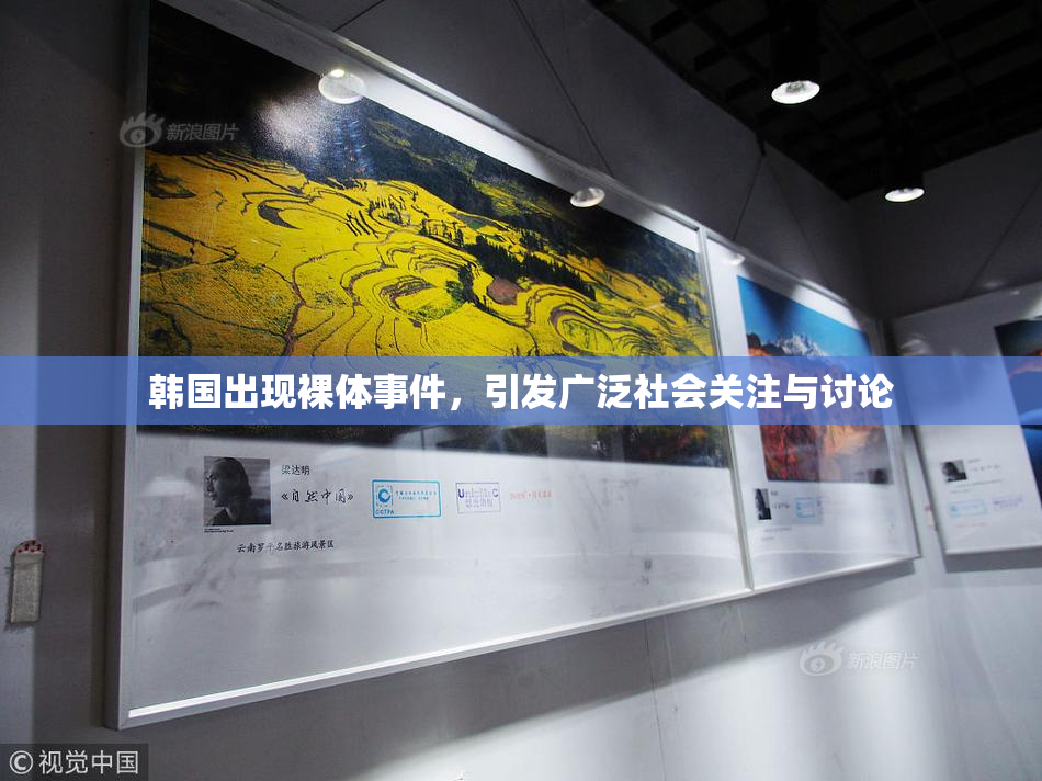 韩国出现裸体事件，引发广泛社会关注与讨论