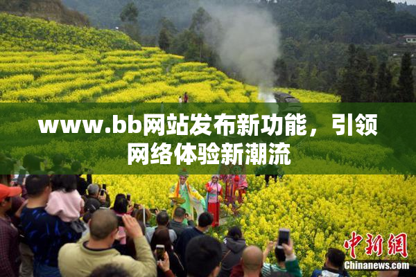 www.bb网站发布新功能，引领网络体验新潮流