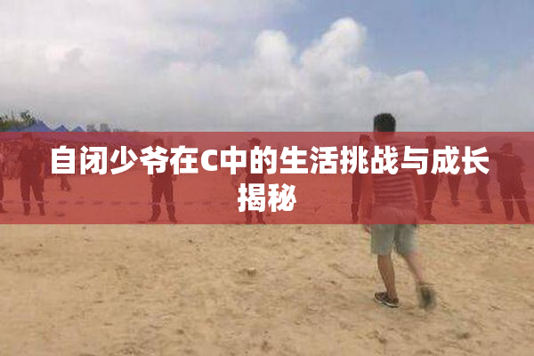 自闭少爷在C中的生活挑战与成长揭秘