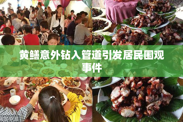 黄鳝意外钻入管道引发居民围观事件