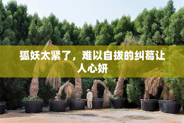 狐妖太紧了，难以自拔的纠葛让人心妍