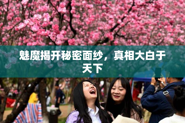 魅魔揭开秘密面纱，真相大白于天下