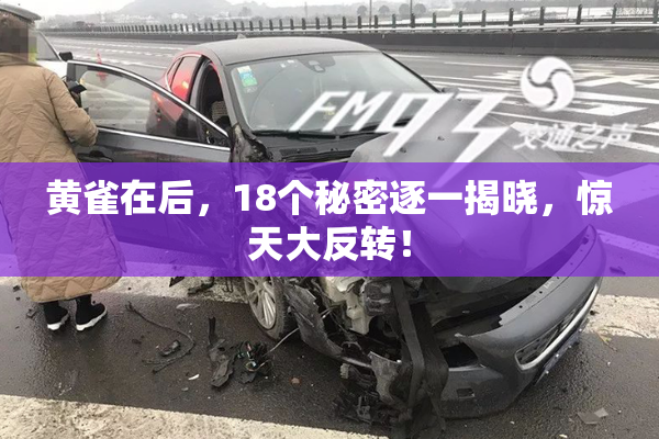 黄雀在后，18个秘密逐一揭晓，惊天大反转！