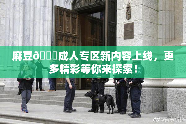 麻豆🔞成人专区新内容上线，更多精彩等你来探索！