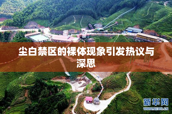 尘白禁区的裸体现象引发热议与深思