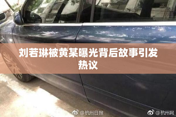 刘若琳被黄某曝光背后故事引发热议