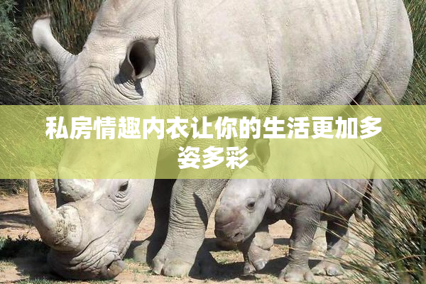 私房情趣内衣让你的生活更加多姿多彩