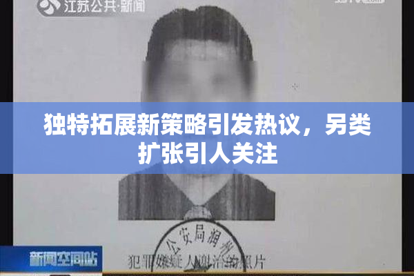 独特拓展新策略引发热议，另类扩张引人关注