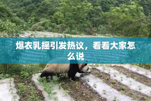 爆衣乳摇引发热议，看看大家怎么说