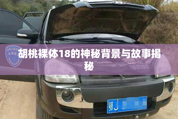 胡桃裸体18的神秘背景与故事揭秘