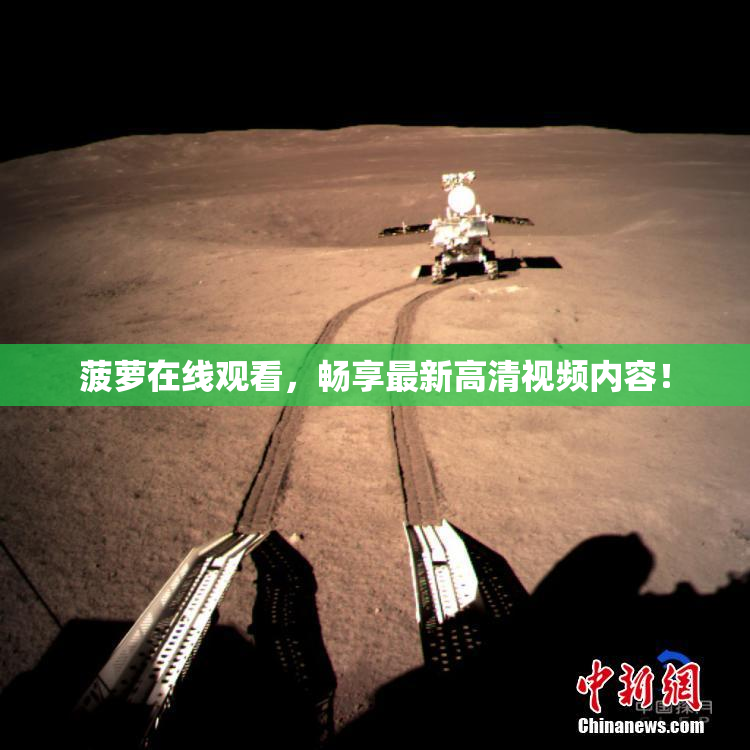 菠萝在线观看，畅享最新高清视频内容！