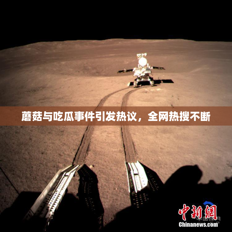 蘑菇与吃瓜事件引发热议，全网热搜不断