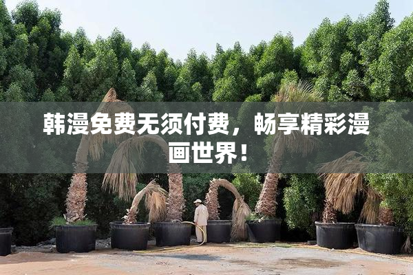 韩漫免费无须付费，畅享精彩漫画世界！