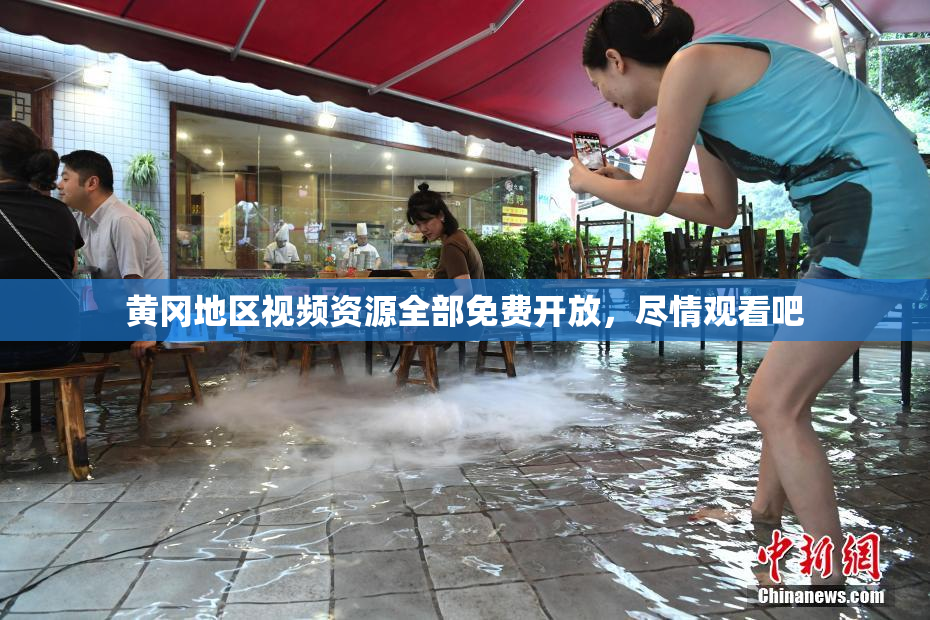黄冈地区视频资源全部免费开放，尽情观看吧