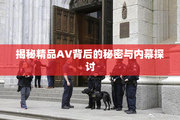 揭秘精品AV背后的秘密与内幕探讨
