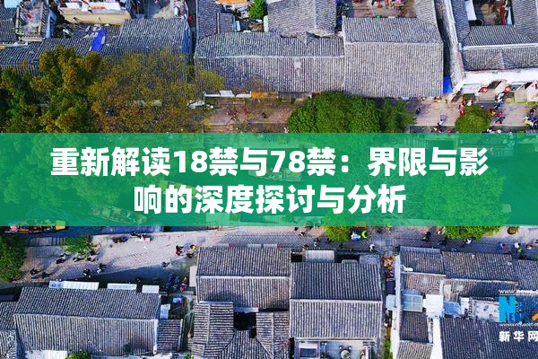重新解读18禁与78禁：界限与影响的深度探讨与分析