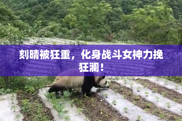 刻晴被狂重，化身战斗女神力挽狂澜！