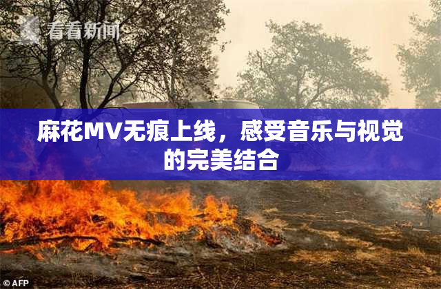 麻花MV无痕上线，感受音乐与视觉的完美结合