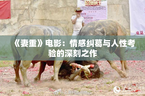 《妻重》电影：情感纠葛与人性考验的深刻之作