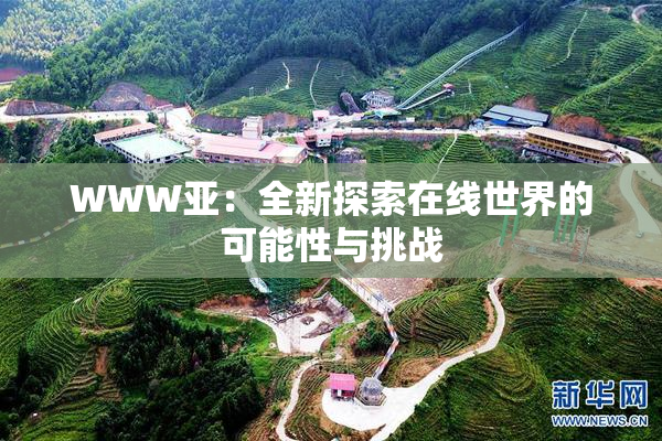 WWW亚：全新探索在线世界的可能性与挑战
