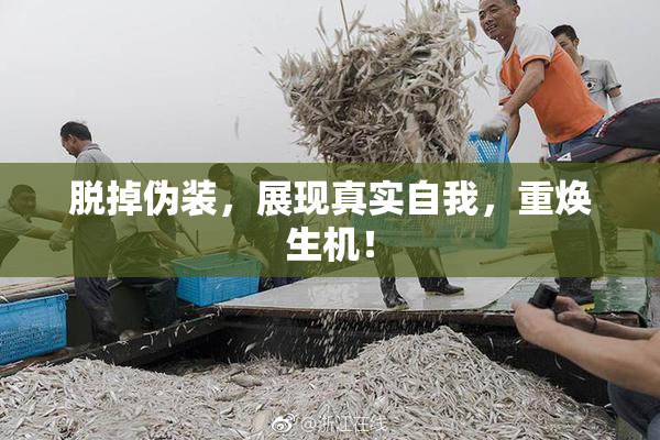 脱掉伪装，展现真实自我，重焕生机！