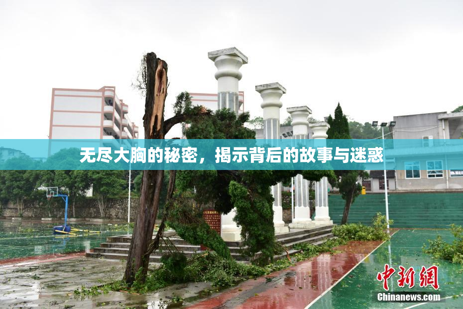 无尽大胸的秘密，揭示背后的故事与迷惑