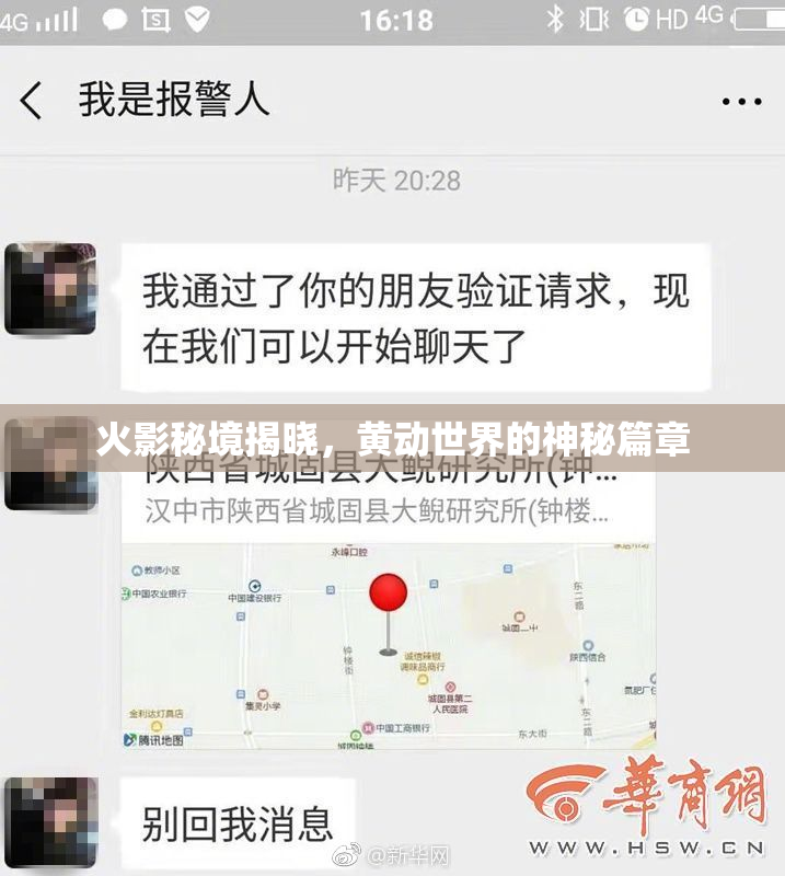 火影秘境揭晓，黄动世界的神秘篇章
