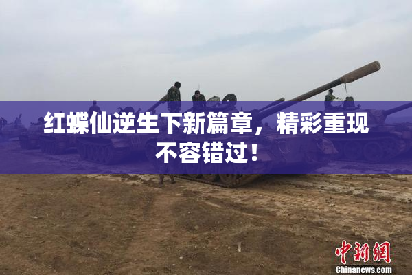 红蝶仙逆生下新篇章，精彩重现不容错过！