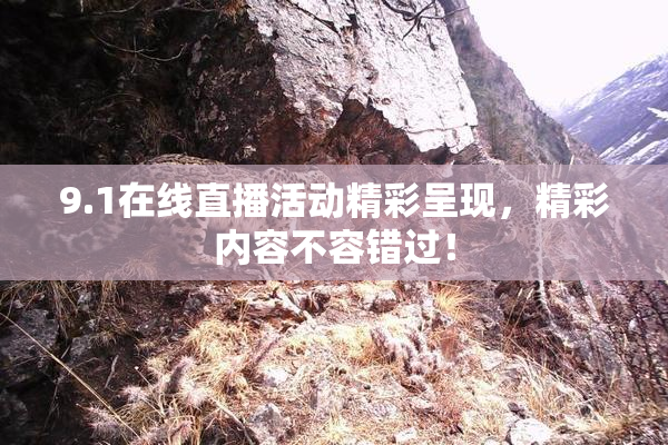 9.1在线直播活动精彩呈现，精彩内容不容错过！