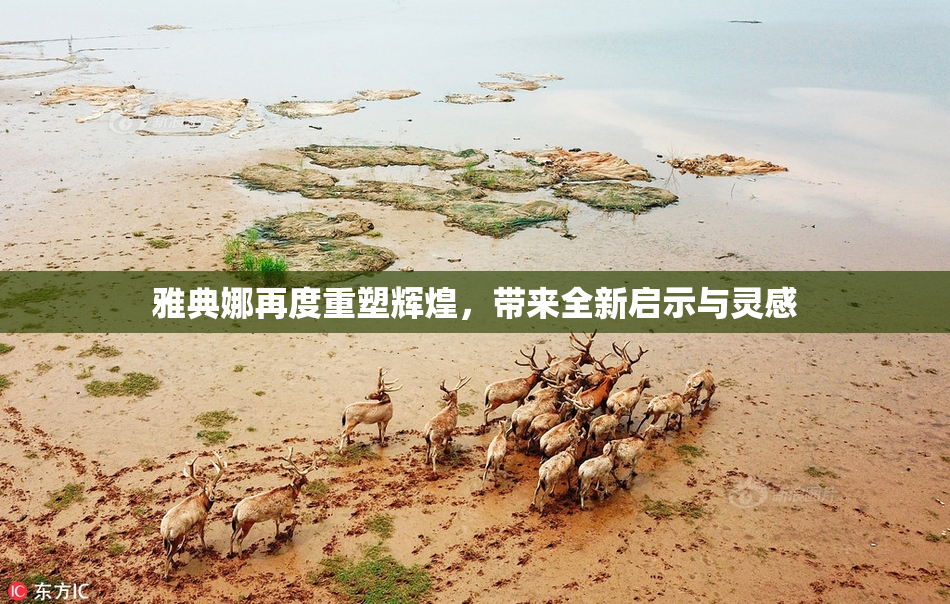 雅典娜再度重塑辉煌，带来全新启示与灵感