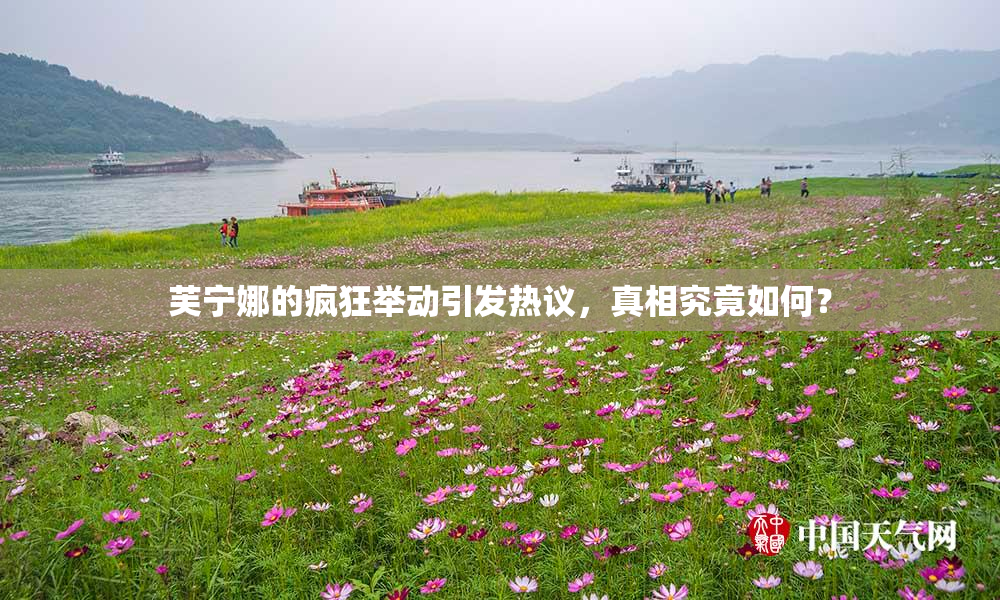芙宁娜的疯狂举动引发热议，真相究竟如何？