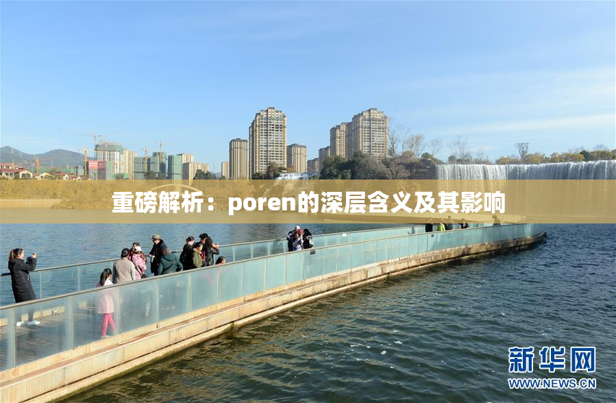 重磅解析：poren的深层含义及其影响