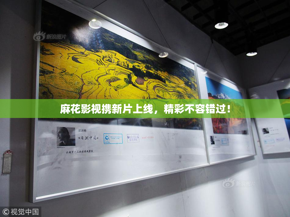 麻花影视携新片上线，精彩不容错过！