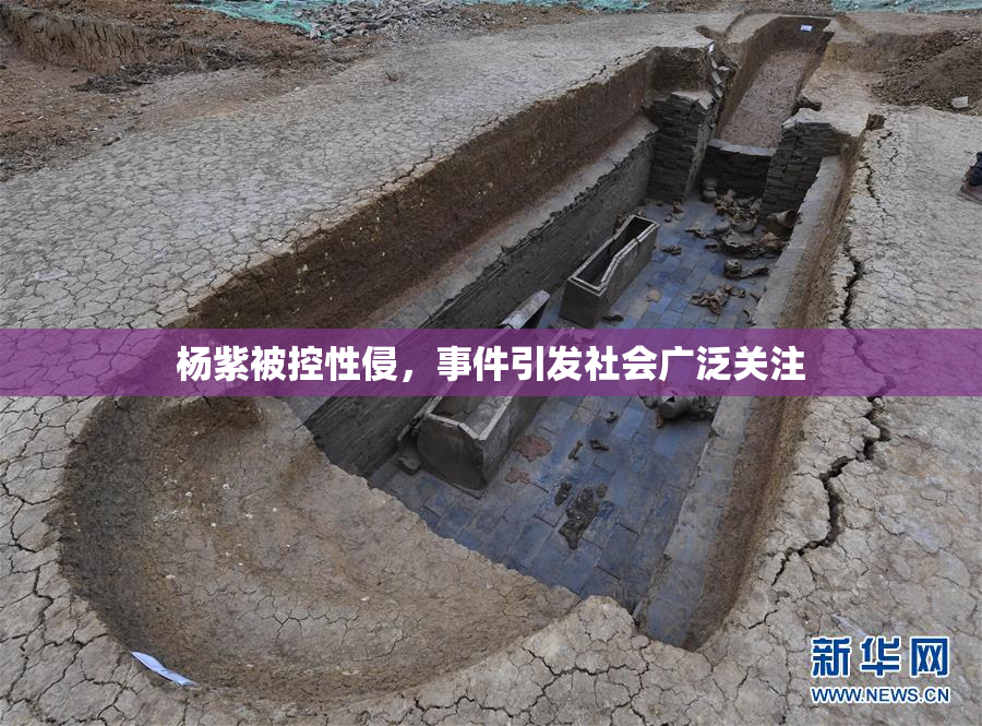 杨紫被控性侵，事件引发社会广泛关注
