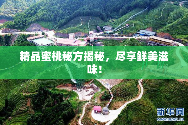 精品蜜桃秘方揭秘，尽享鲜美滋味！