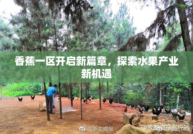 香蕉一区开启新篇章，探索水果产业新机遇