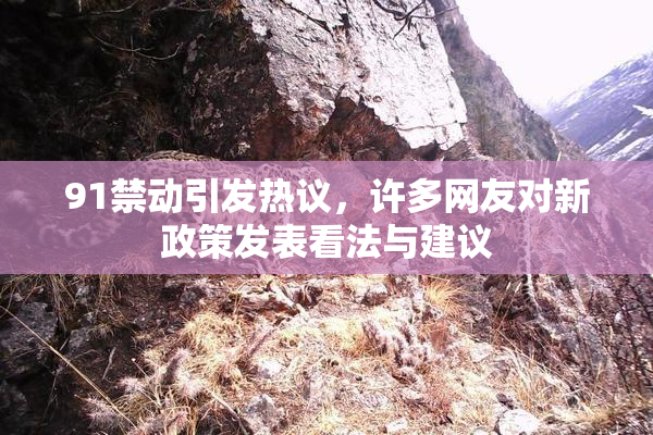 91禁动引发热议，许多网友对新政策发表看法与建议