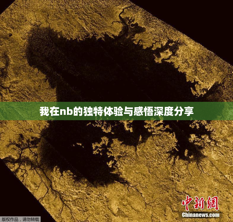 我在nb的独特体验与感悟深度分享