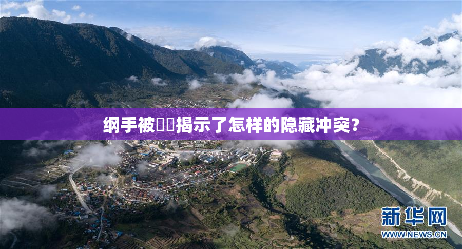 纲手被❌‌揭示了怎样的隐藏冲突？