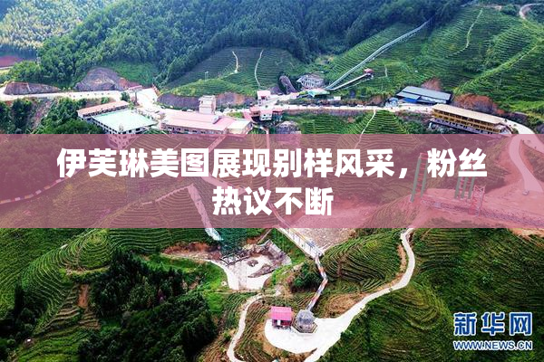 伊芙琳美图展现别样风采，粉丝热议不断