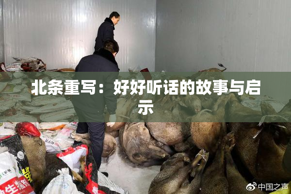 北条重写：好好听话的故事与启示