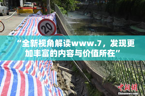 “全新视角解读www.7，发现更加丰富的内容与价值所在”