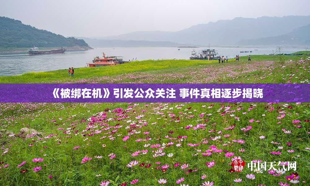 《被绑在机》引发公众关注 事件真相逐步揭晓